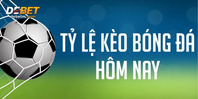 Đừng đặt cược chỉ vì cảm tính hoặc may mắn